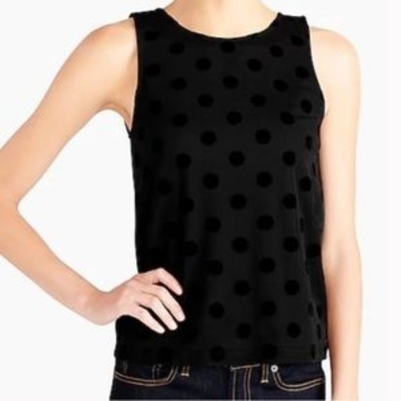 velvet dot sheer top